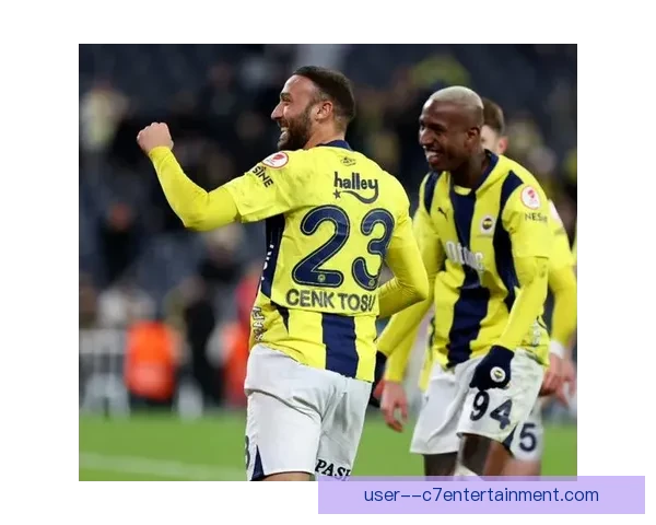 2024美洲杯裁判现场解说通过广播公布VAR判罚结果